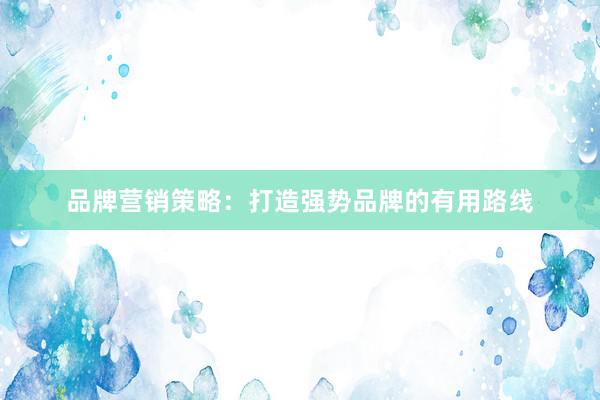 品牌营销策略：打造强势品牌的有用路线