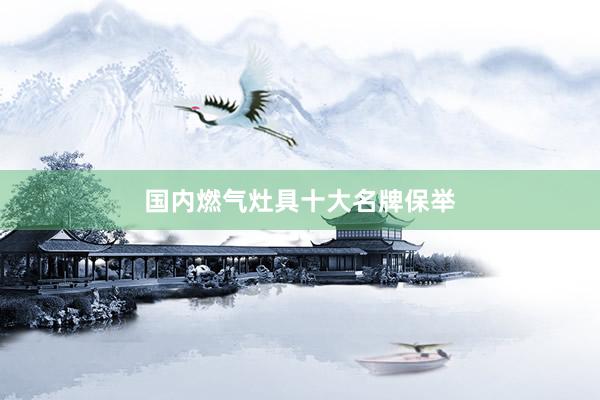 国内燃气灶具十大名牌保举