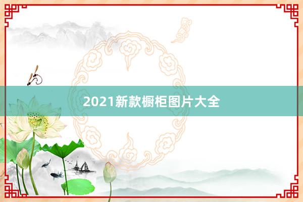 2021新款橱柜图片大全