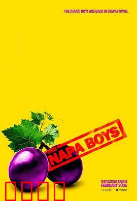 纳帕酷男团:逆袭之路