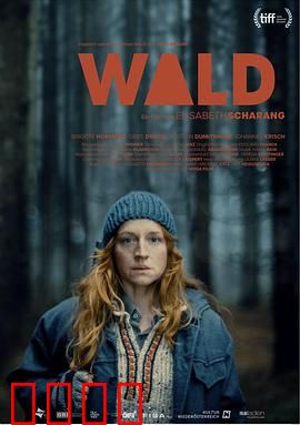 走出丛林:绝境重生