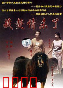 藏獒情未了:忠犬与主人