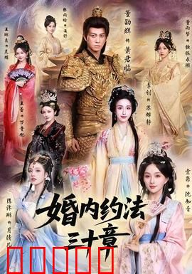 婚内约法三十章:契约婚姻的真相