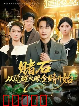 赌石从觉醒火眼金睛开始:赌石逆袭