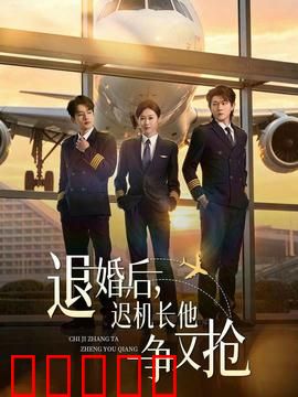 退婚后,迟机长他争又抢:霸总追妻记